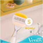 venus yellow 1